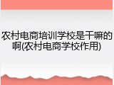 农村电商培训学校是干嘛的啊(农村电商学校作用)