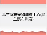 乌兰察布宠物训练中心(乌兰察布训宠)