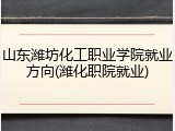 山东潍坊化工职业学院就业方向(潍化职院就业)