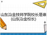 山东冶金技师学院校长是谁(山东冶金校长)