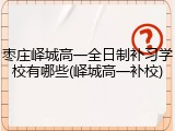 枣庄峄城高一全日制补习学校有哪些(峄城高一补校)