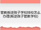 管教叛逆孩子学校技校怎么办理(叛逆孩子管教学校)