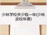 少林学校多少钱一年(少林武校年费)