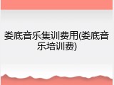 娄底音乐集训费用(娄底音乐培训费)