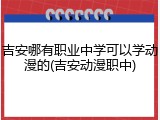 吉安哪有职业中学可以学动漫的(吉安动漫职中)