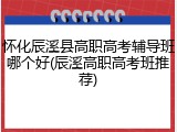 怀化辰溪县高职高考辅导班哪个好(辰溪高职高考班推荐)