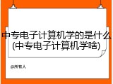 中专电子计算机学的是什么(中专电子计算机学啥)