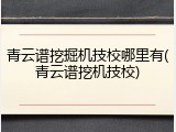 青云谱挖掘机技校哪里有(青云谱挖机技校)