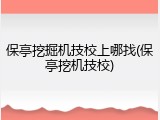 保亭挖掘机技校上哪找(保亭挖机技校)