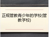 正规管教青少年的学校(管教学校)