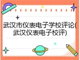 武汉市仪表电子学校评论(武汉仪表电子校评)