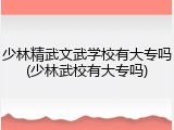 少林精武文武学校有大专吗(少林武校有大专吗)
