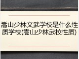 嵩山少林文武学校是什么性质学校(嵩山少林武校性质)