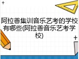 阿拉善集训音乐艺考的学校有哪些(阿拉善音乐艺考学校)