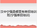 汉中宁强县哪里有单招培训班(宁强单招培训)
