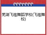 芜湖飞炫舞蹈学校(飞炫舞校)