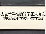 去武术学校的孩子回来真实情况(武术学校归孩实况)