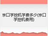 京口学挖机学费多少(京口学挖机费用)