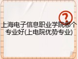 上海电子信息职业学院哪个专业好(上电院优势专业)