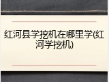 红河县学挖机在哪里学(红河学挖机)