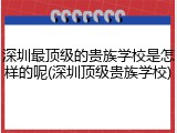 深圳最顶级的贵族学校是怎样的呢(深圳顶级贵族学校)