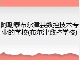 阿勒泰布尔津县数控技术专业的学校(布尔津数控学校)
