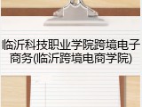临沂科技职业学院跨境电子商务(临沂跨境电商学院)
