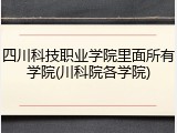 四川科技职业学院里面所有学院(川科院各学院)