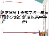 哈尔滨高中贵族学校一年费用多少(哈尔滨贵族高中学费)