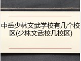 中岳少林文武学校有几个校区(少林文武校几校区)