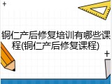 铜仁产后修复培训有哪些课程(铜仁产后修复课程)
