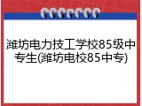 潍坊电力技工学校85级中专生(潍坊电校85中专)