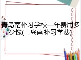 青岛南补习学校一年费用多少钱(青岛南补习学费)