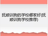 抚顺训狗的学校哪家好(抚顺训狗学校推荐)