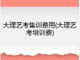 大理艺考集训费用(大理艺考培训费)