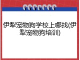 伊犁宠物狗学校上哪找(伊犁宠物狗培训)