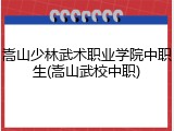 嵩山少林武术职业学院中职生(嵩山武校中职)