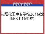 沈阳化工中专学校2016(沈阳化工16中专)