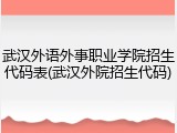 武汉外语外事职业学院招生代码表(武汉外院招生代码)