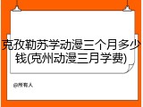 克孜勒苏学动漫三个月多少钱(克州动漫三月学费)