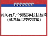 潍坊有几个海运学校技校啊(潍坊海运技校数量)
