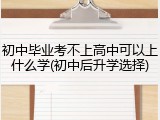 初中毕业考不上高中可以上什么学(初中后升学选择)