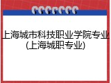 上海城市科技职业学院专业(上海城职专业)