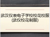 武汉仪表电子学校校花校服(武仪校花制服)