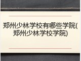 郑州少林学校有哪些学院(郑州少林学校学院)