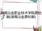湖南冶金职业技术学院原校徽(湖南冶金原校徽)
