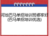 河池巴马单招培训班哪家好(巴马单招培训优选)