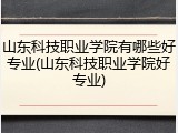 山东科技职业学院有哪些好专业(山东科技职业学院好专业)