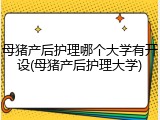 母猪产后护理哪个大学有开设(母猪产后护理大学)