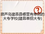 葫芦岛建昌县哪里有单招的大专学校(建昌单招大专)